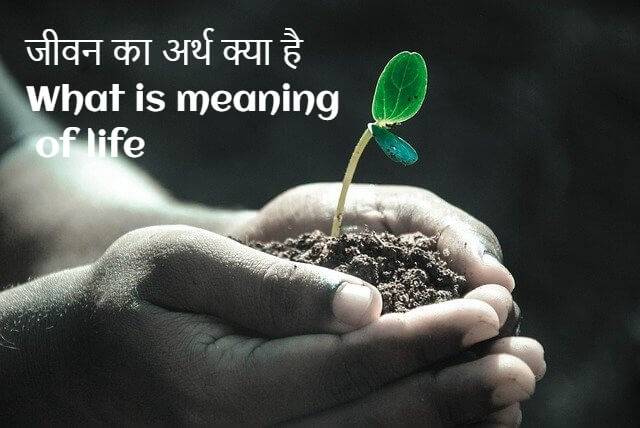 What is meaning of life in hindi
