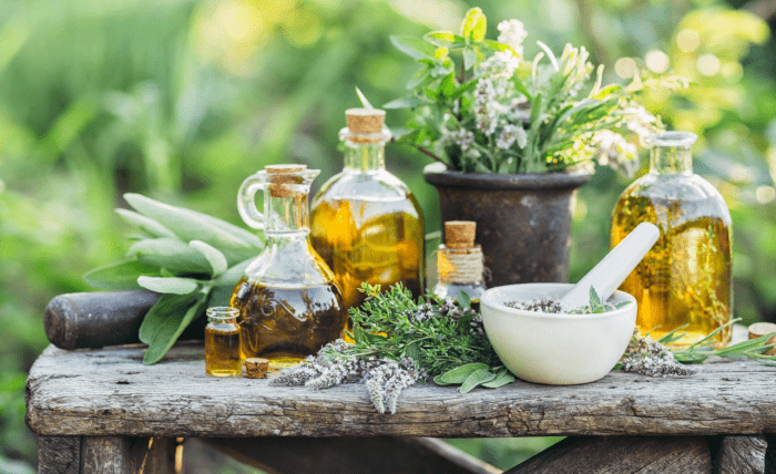 How to Choose the Best Herbal Wholesale Hemp Flower for Sale How to Choose the Best Herbal Wholesale Hemp Flower for Sale